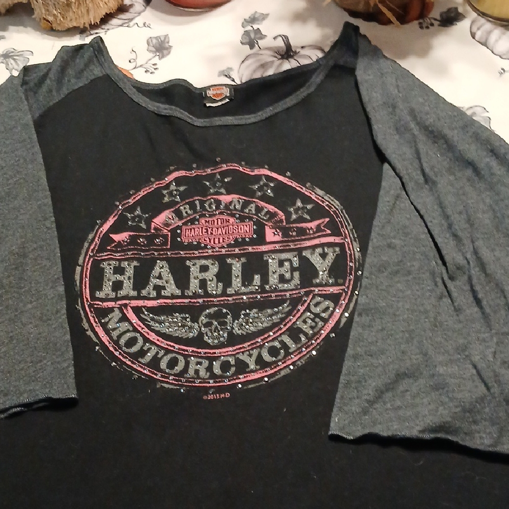 Harley-Davidson Black and Gray Logo Tee
